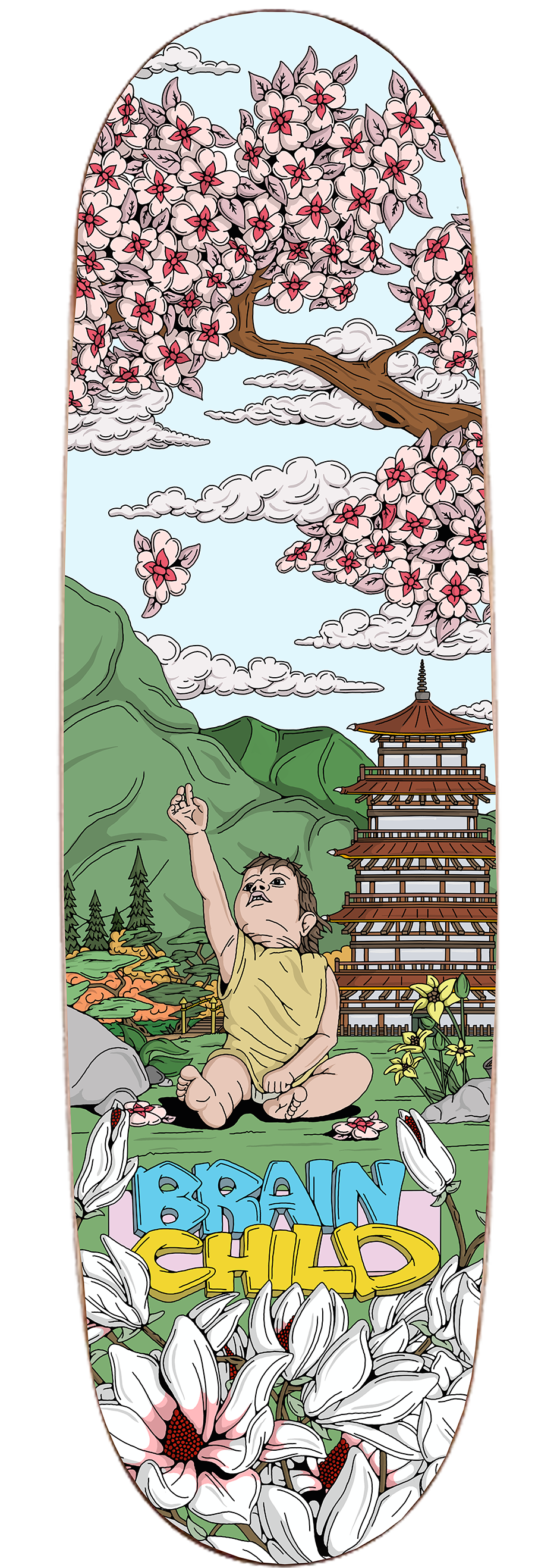 Cherry blossom